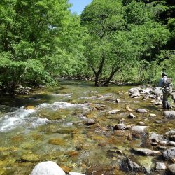 フライ名人とイワナ釣り